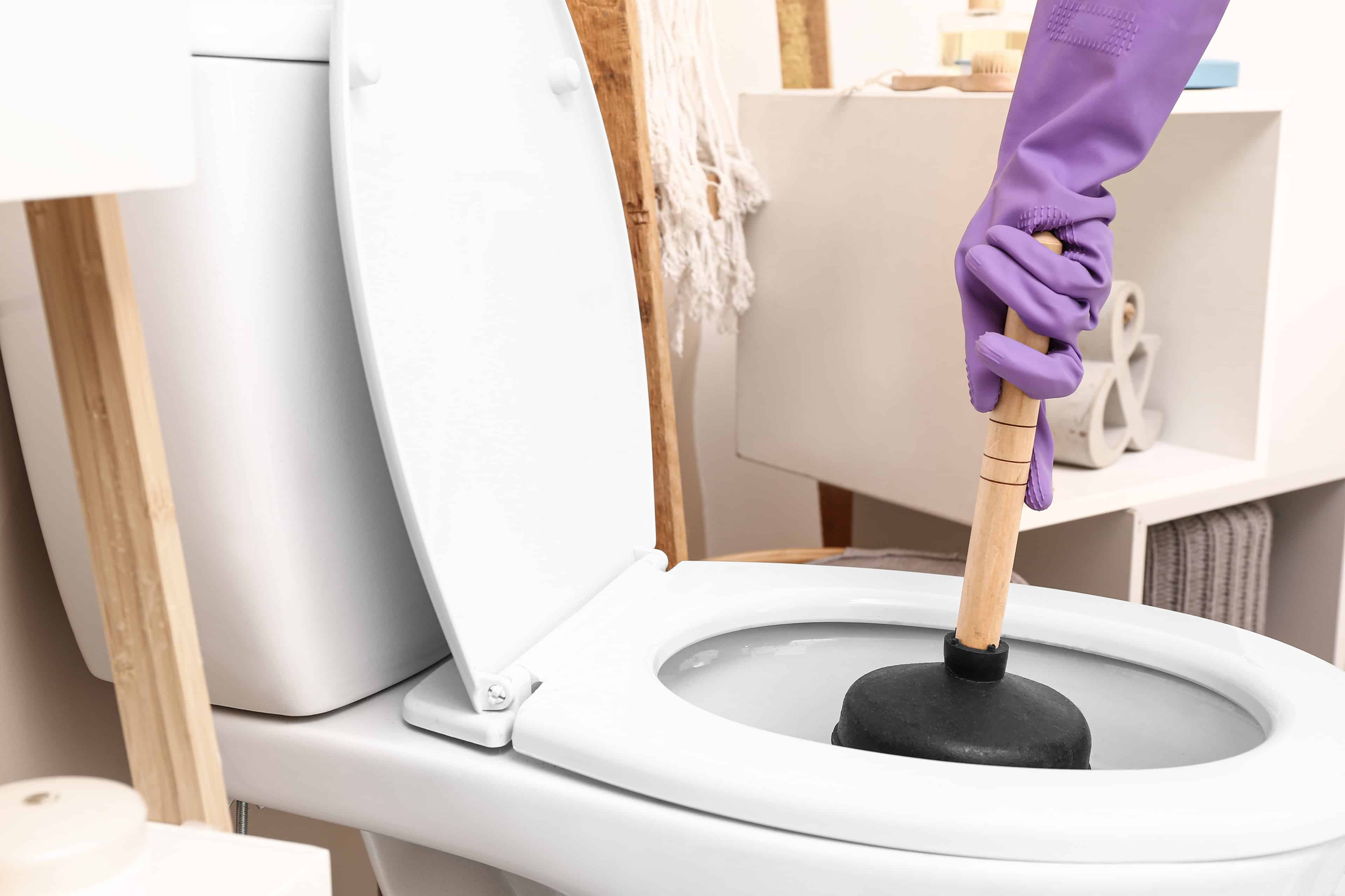 Clogged Toilet Repair image
